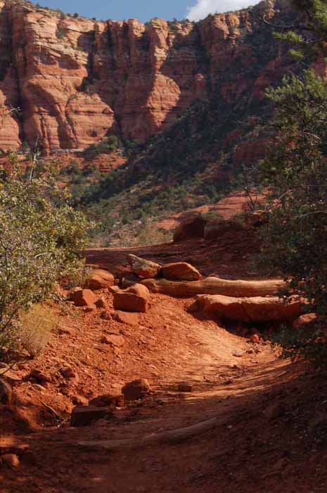 on a hiking path